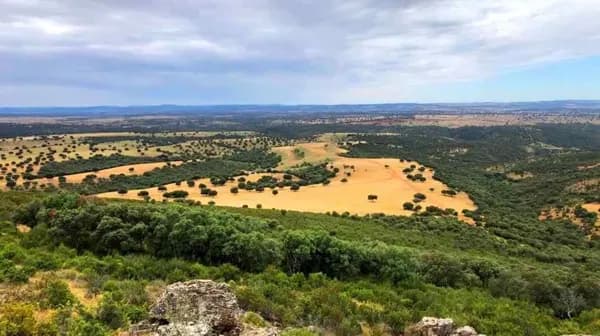 Finca rústica de 1000 ha en venta en Ciudad real