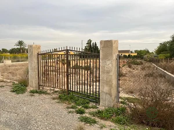 Spot image