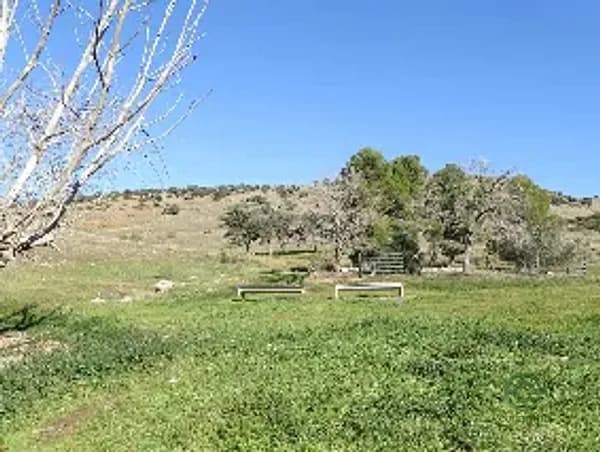 Finca rústica de 255 ha en venta en Ciudad real