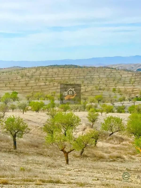 Finca agrícola de 8 ha en venta en Velez-rubio, Almeria