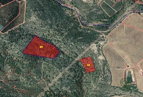 Finca agrícola de 10,3 ha en venta en Castellón