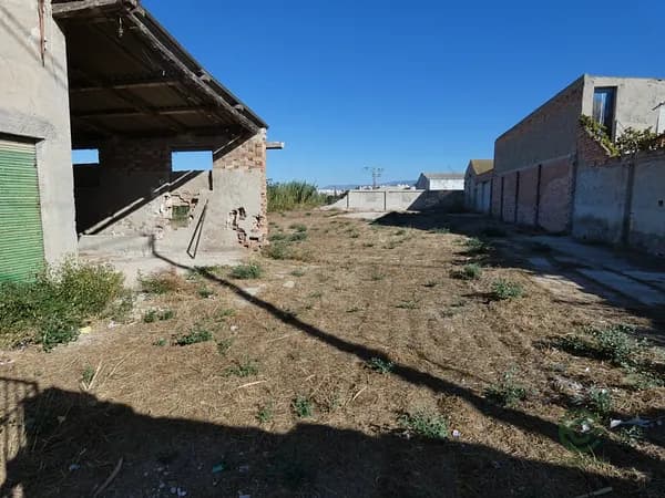 Spot image