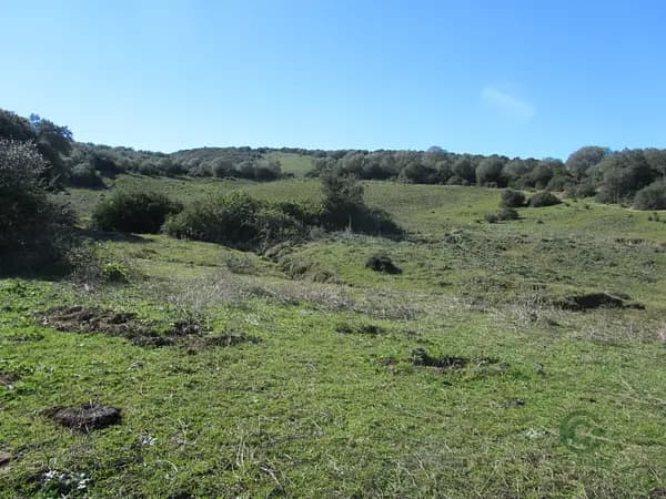 Finca rústica de 141 ha en venta en Cádiz