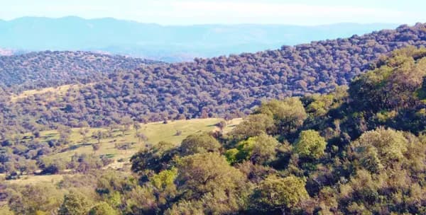 Finca rústica de 500 ha en venta en Ciudad real