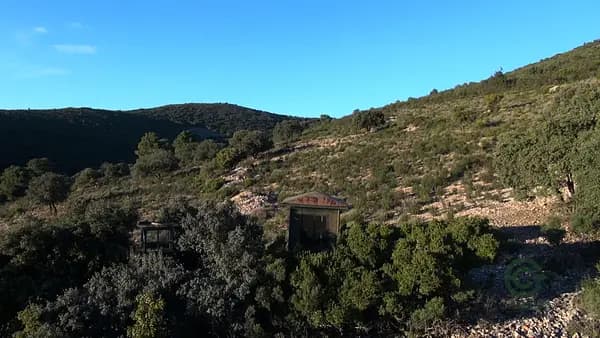 Finca cinegética de 300 ha en venta en Ciudad real