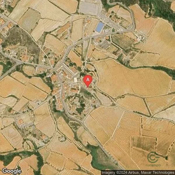 Spot image