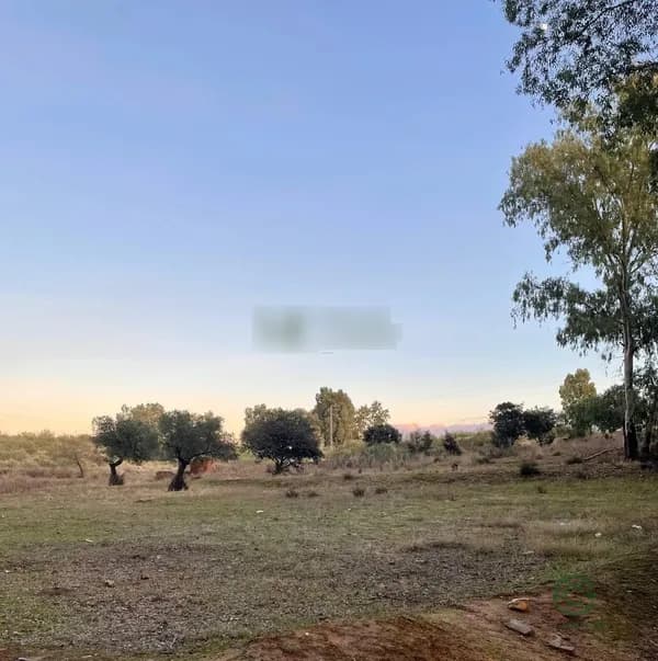 Finca rústica de 1 ha en venta en Mérida, Badajoz
