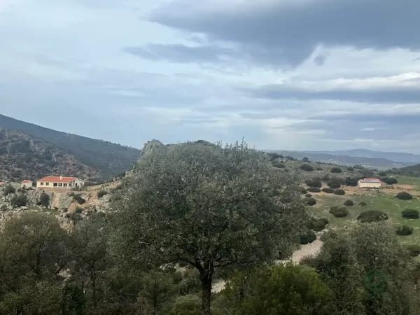 Finca rústica de 873 ha en venta en Ciudad real