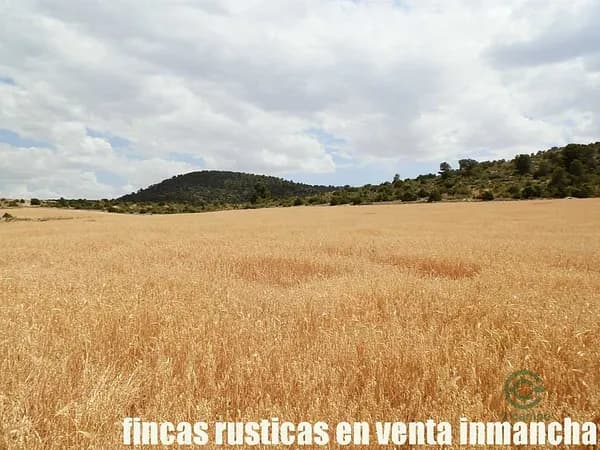 Finca rústica de 464 ha en venta en Albacete