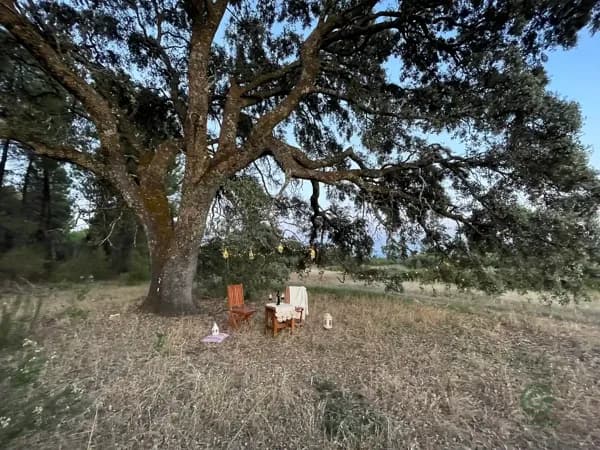 Finca de recreo de 10 ha en venta en Cáceres