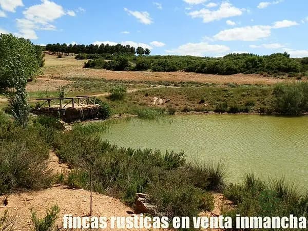 Finca rústica de 734 ha en venta en Albacete
