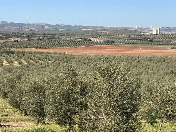 Finca rústica de 380 ha en venta en Málaga