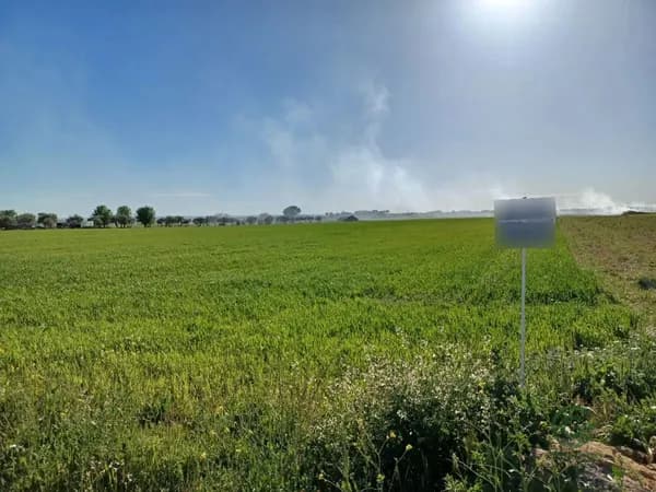Finca agrícola de 2,0129 ha en venta en Roda (la), Albacete