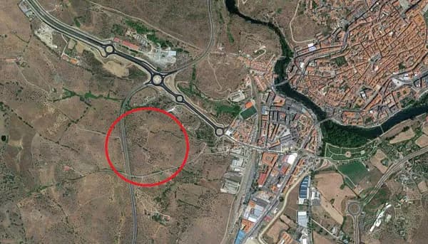 Spot image