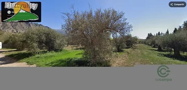 Spot image