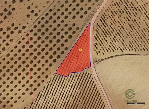 Spot image