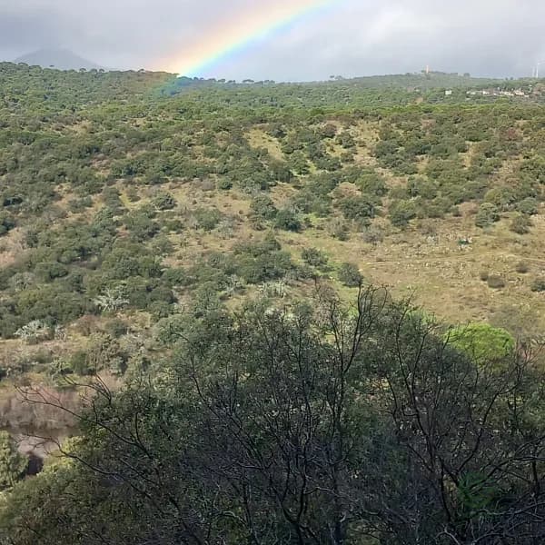 Finca rústica de 93,2 ha en venta en Madrid