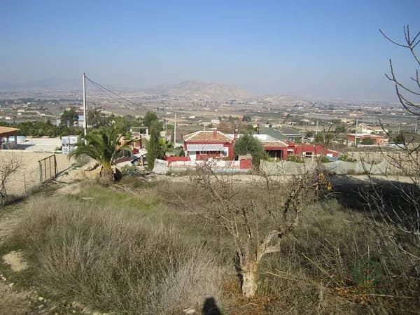 Spot image