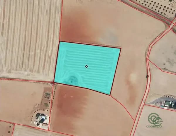 Finca agrícola de 0,91 ha en venta en Santa cruz de mudela, Ciudad real