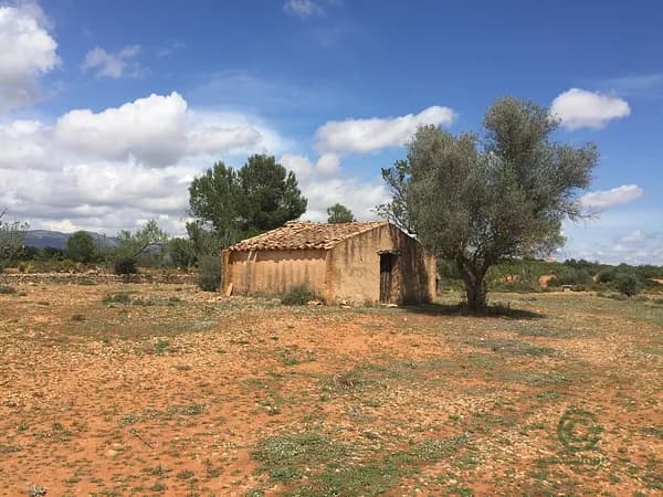 Finca agrícola de 1,4265 ha en venta en Vall d alba, Castellón