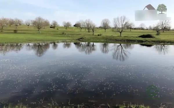 Finca rústica de 180 ha en venta en Salamanca