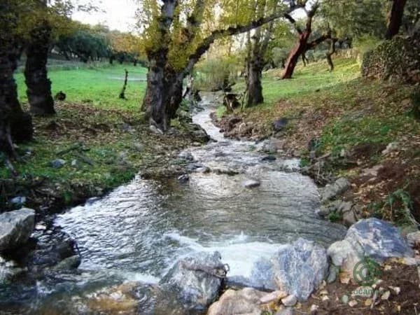 Finca rústica de 21 ha en venta en Cabeza la vaca, Badajoz