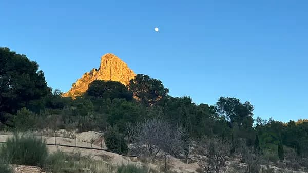 Finca rústica de 130 ha en venta en Jaén