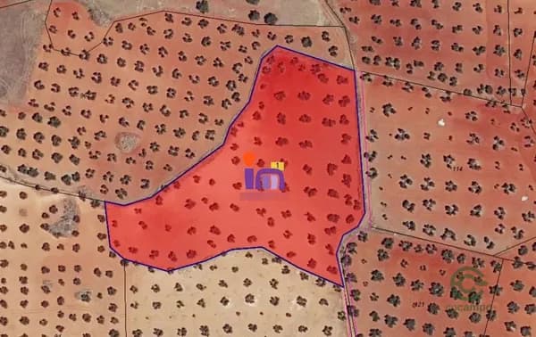 Finca agrícola de 0,7 ha en venta en Torrenueva, Ciudad real