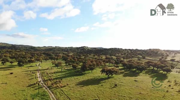 Finca ganadera de 463 ha en venta en Badajoz