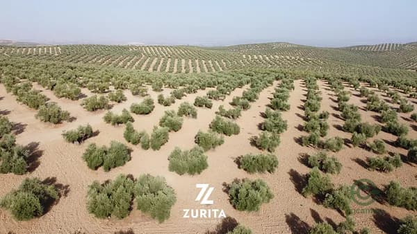 Finca agrícola de 4,05 ha en venta en Montoro, Cordoba
