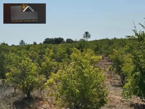 Finca agrícola de 1,9703 ha en venta en El altet, Alicante