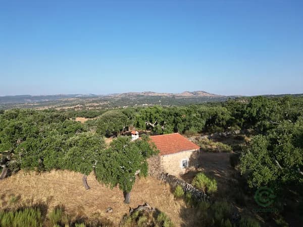 Finca rústica de 7 ha en venta en Badajoz