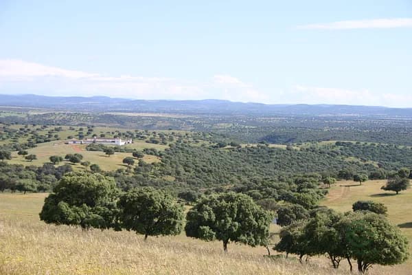 Finca rústica de 1655 ha en venta en Ciudad real