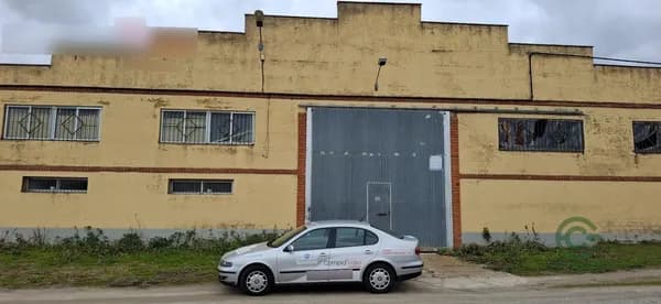 Spot image
