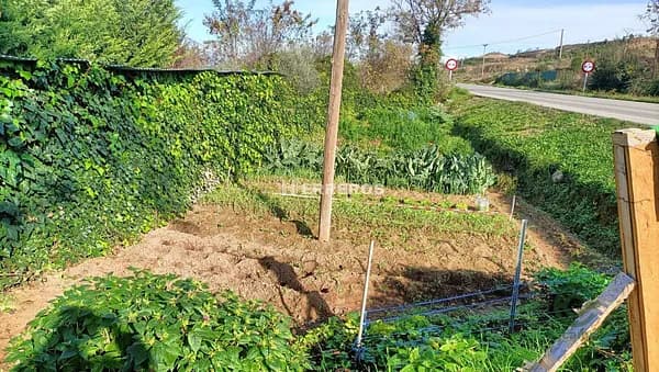 Finca rústica de 0,13 ha en venta en Agoncillo, La rioja