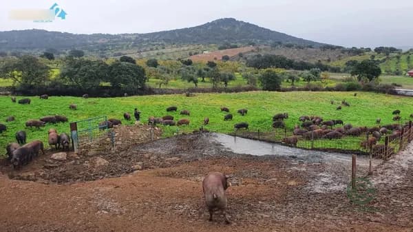 Finca rústica de 16 ha en venta en Salvaleon, Badajoz