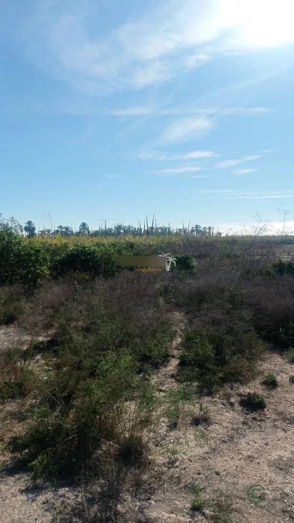 Finca rústica de 1,3231 ha en venta en Elche pedanias, Alicante
