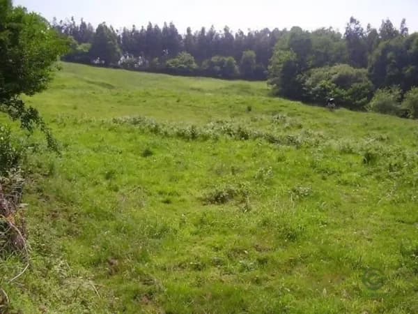 Finca rústica de 0,82 ha en venta en Candamo, Asturias