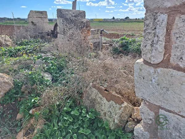 Finca agrícola de 0,53 ha en venta en Baleares