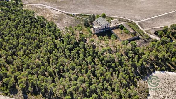 Finca rústica de 53 ha en venta en La font de la figuera, Valencia