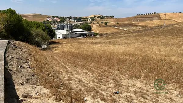 Finca rústica de 1,41 ha en venta en Ciudad real