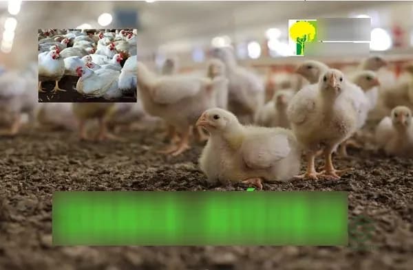 Finca rústica de 3 ha en venta en