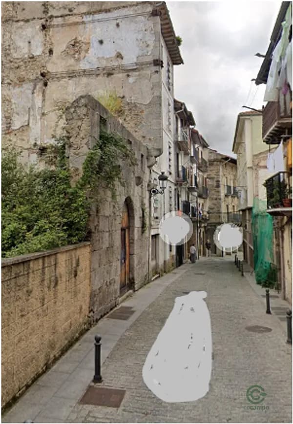 Spot image