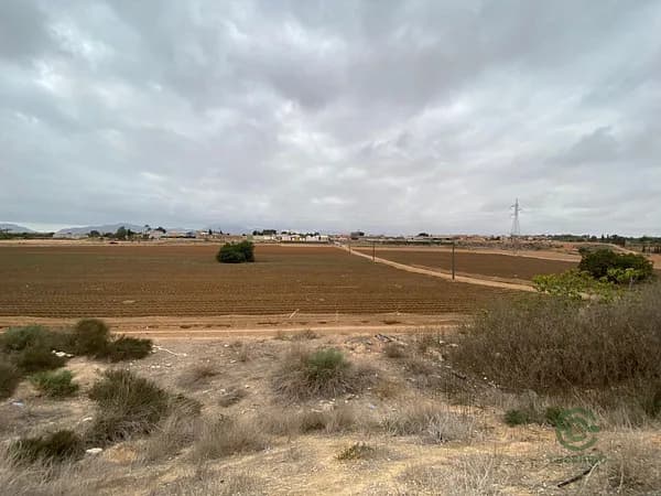 Spot image