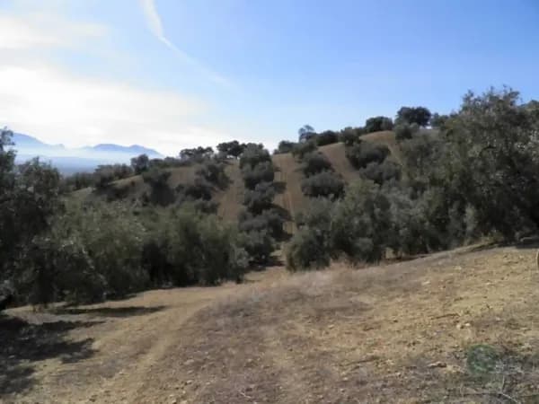 Finca agrícola de 5,64 ha en venta en Loja, Granada