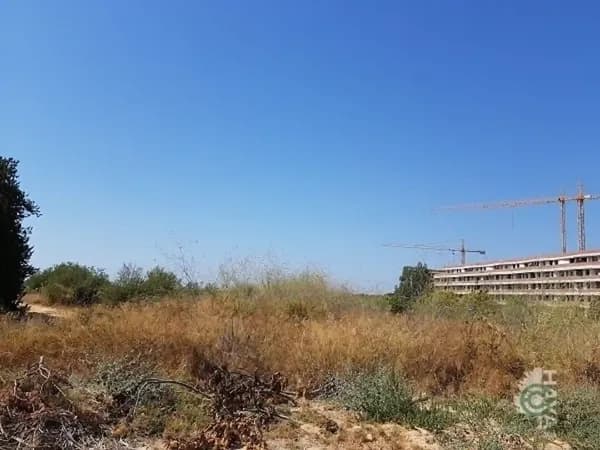 Spot image