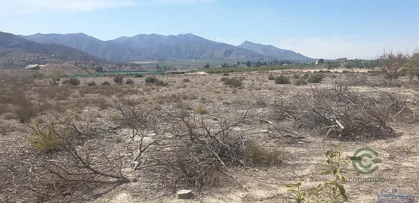 Finca rústica de 0,57 ha en venta en Benferri, Alicante