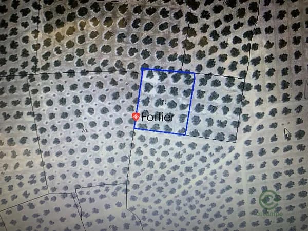 Spot image