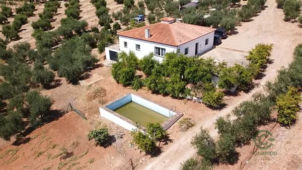 Finca rústica de 1,4 ha en venta en Montellano, Sevilla