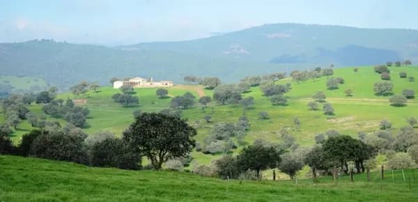 Finca rústica de 900 ha en venta en Jaén
